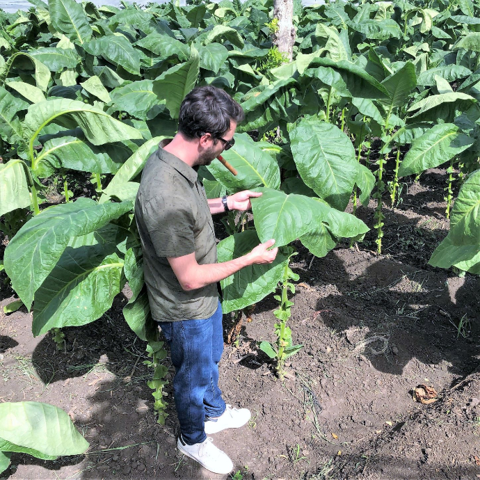 Yann dans une plantation chez E.P. Carrillo