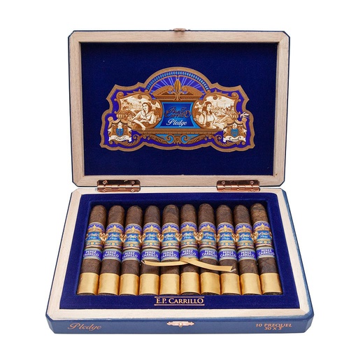 Pledge Prequel Robusto (Coffret de 10)