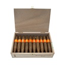 Serie P Jeroboam