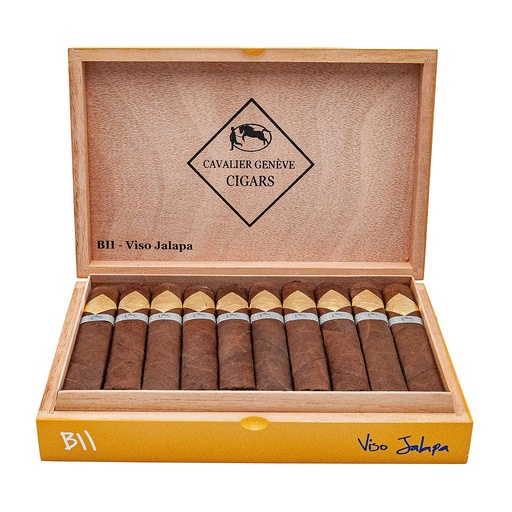 BII Viso Jalapa Robusto Gordo (Coffret de 20)