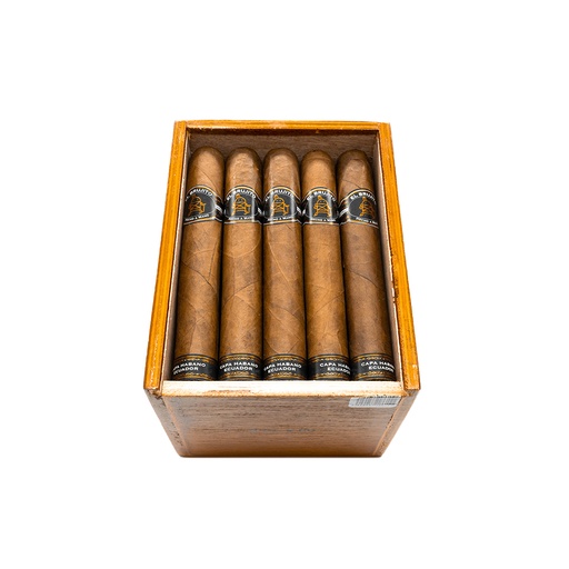 Robusto F1